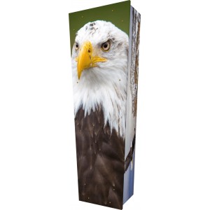Soaring Eagles - Personalised Picture Coffin with Customised Design.